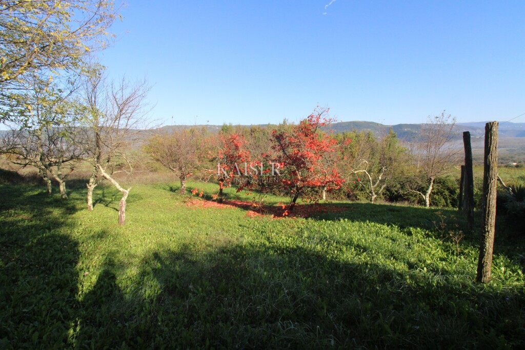 Image 6164374 - 5