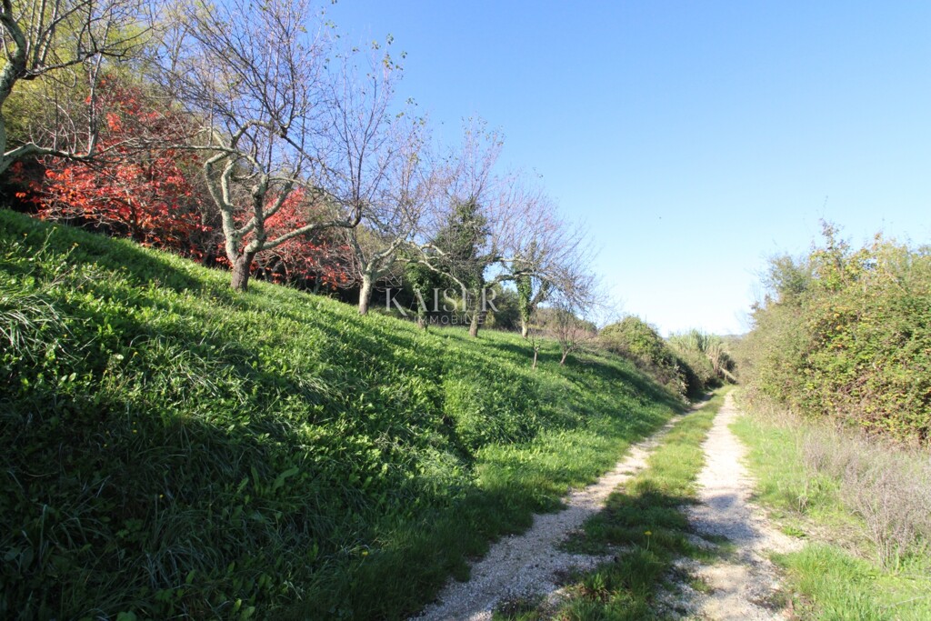 Image 6164374 - 9