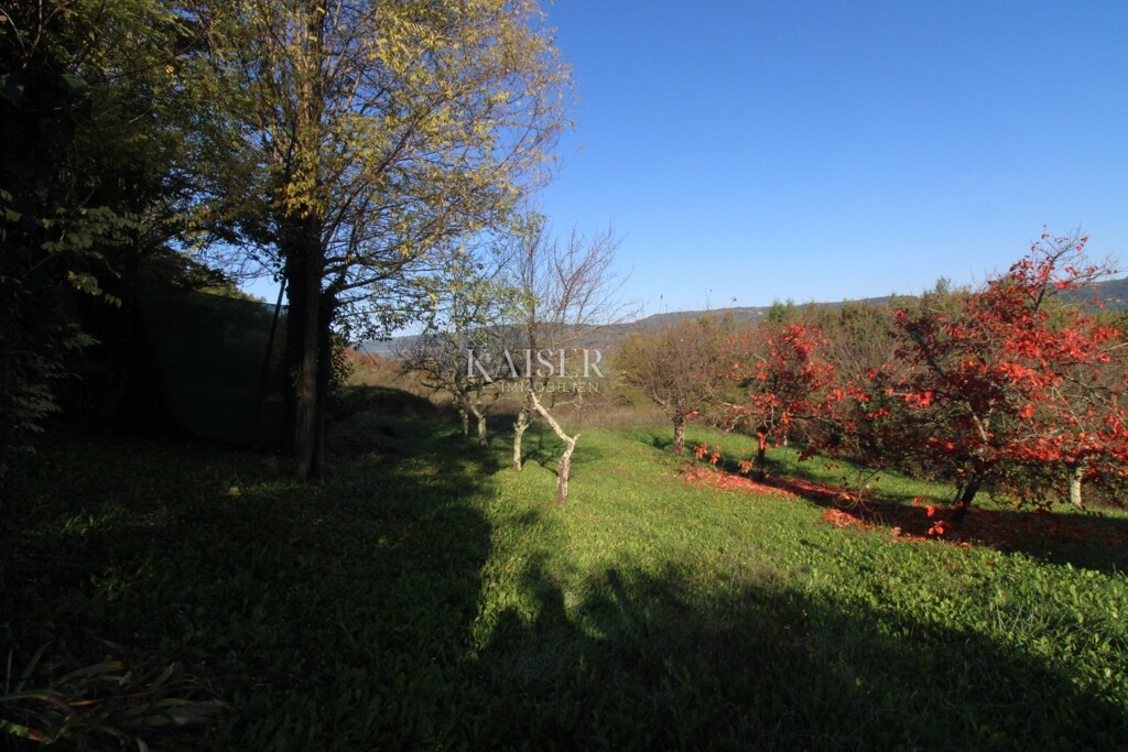 Image 6164374 - 7