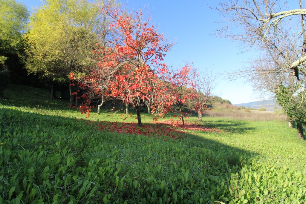 Image 6164374 - 8