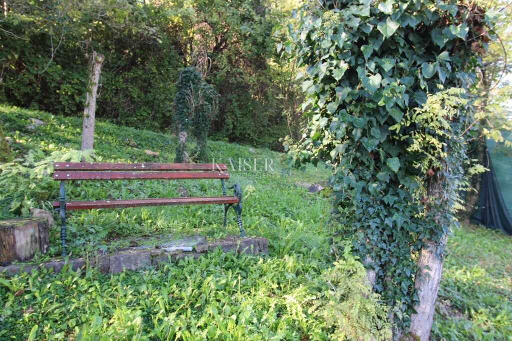Image 6164374 - 6