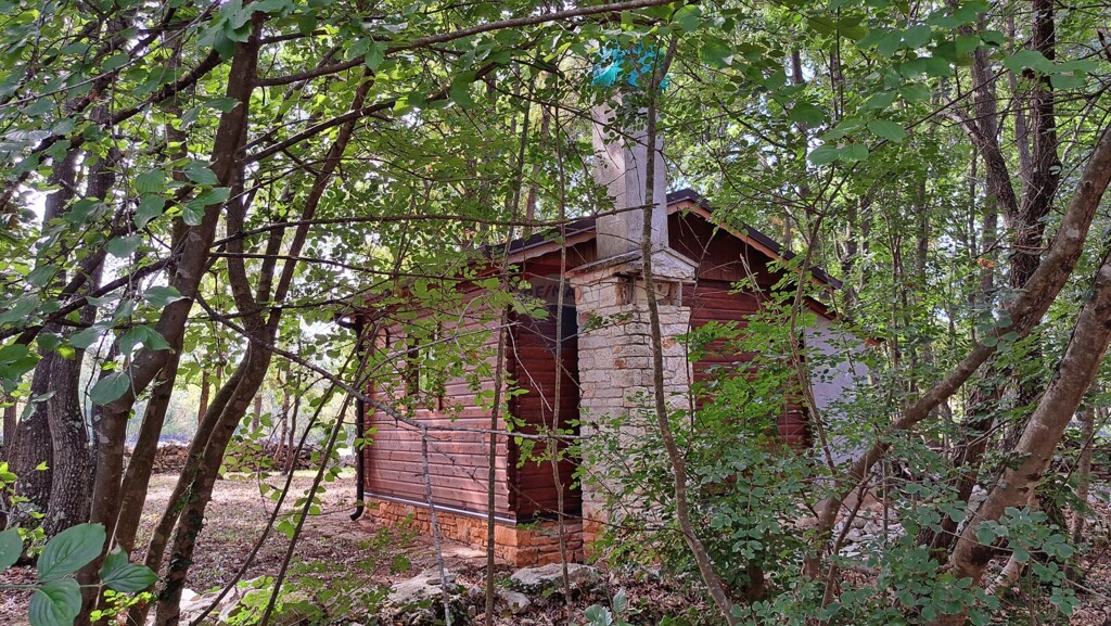 Image 6164405 - 3