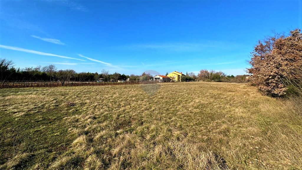 Image 6164406 - 5