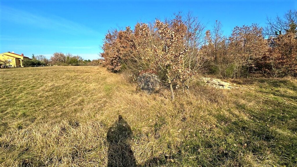Image 6164407 - 4