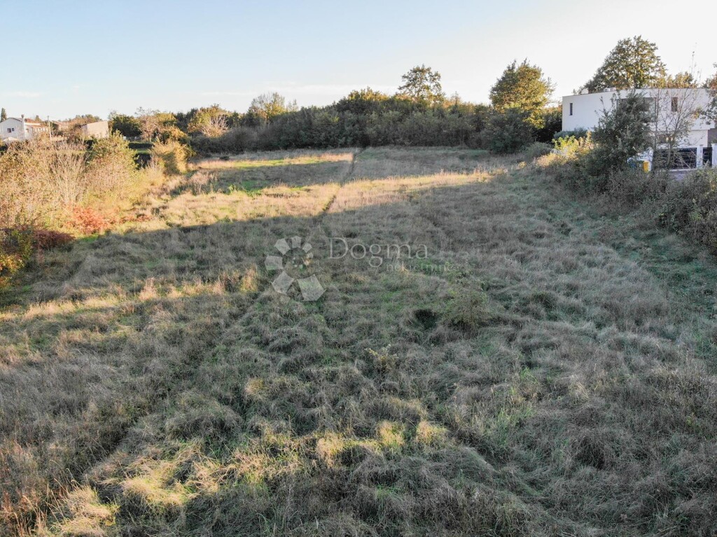 Image 6164722 - 4