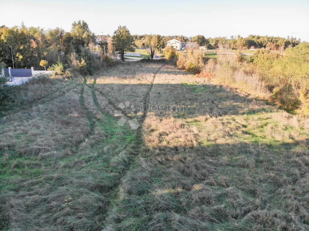 Image 6164722 - 5