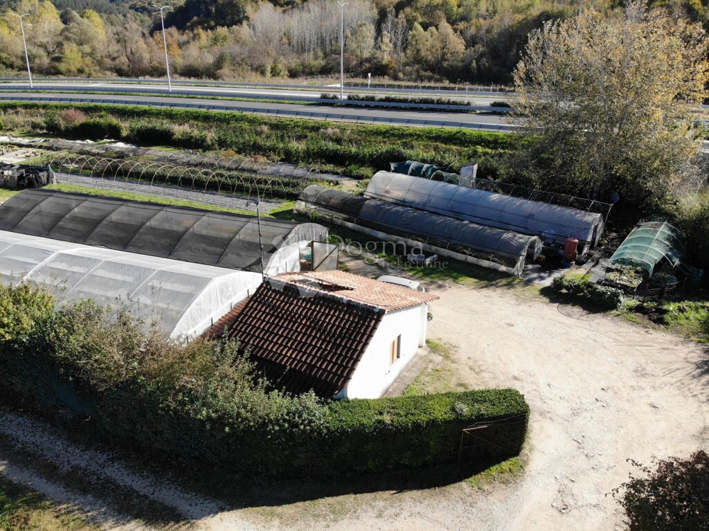 Image 6164725 - 9