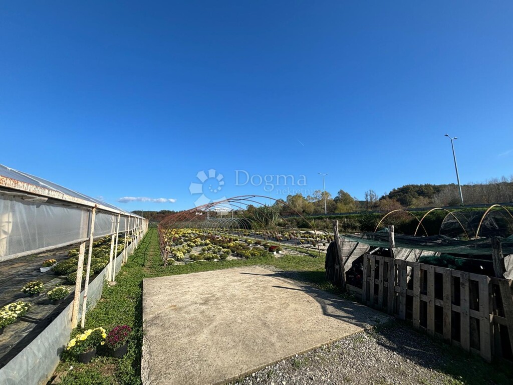 Image 6164725 - 19