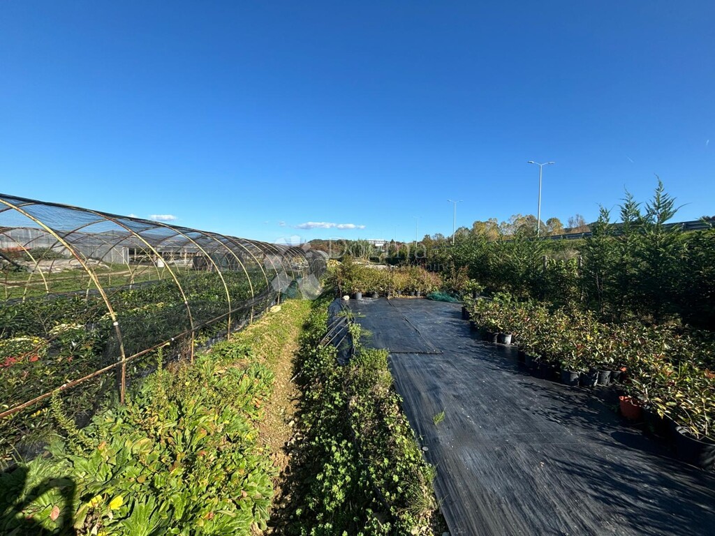 Image 6164725 - 21