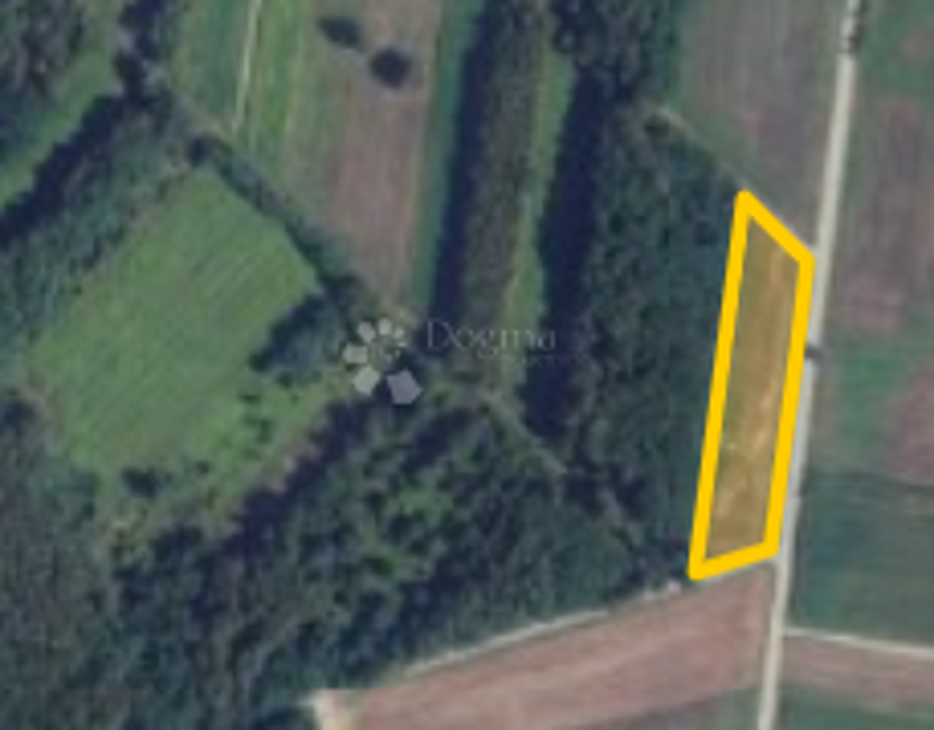 Image 6164726 - 1