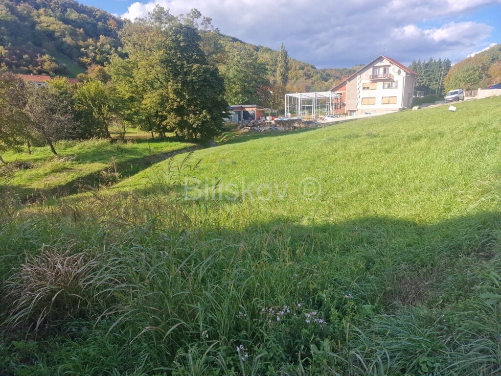 Image 6164851 - 3