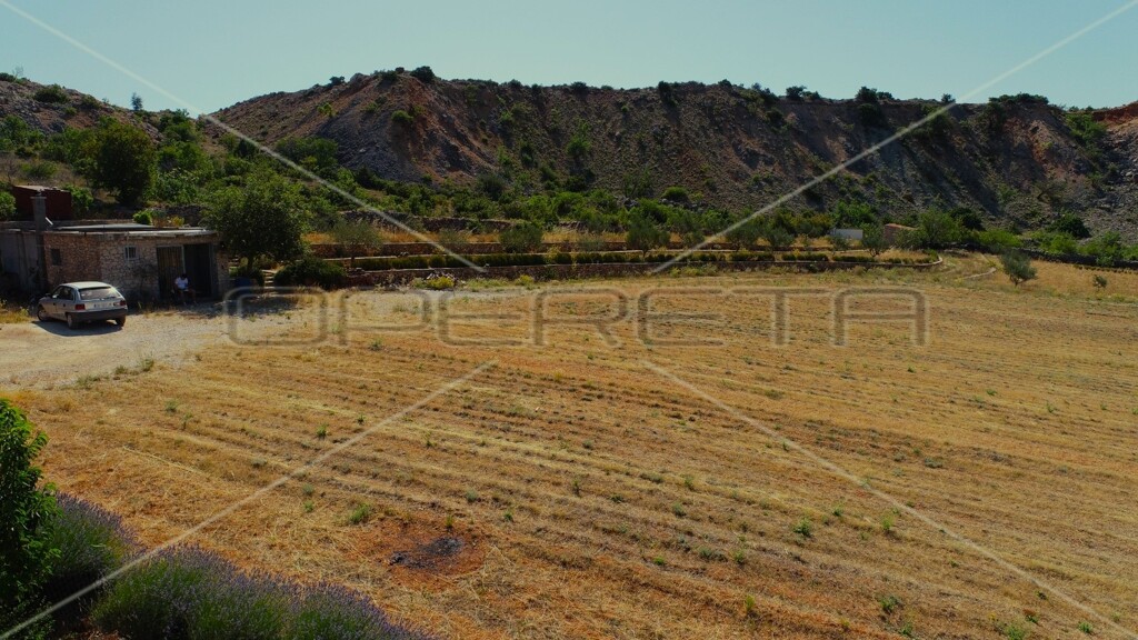 Image 6164860 - 17