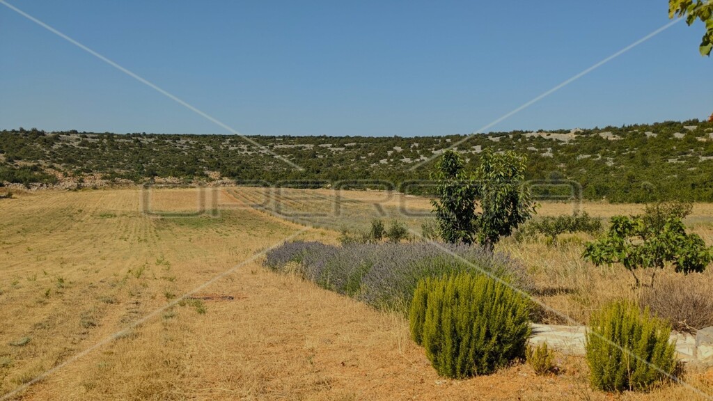 Image 6164860 - 3