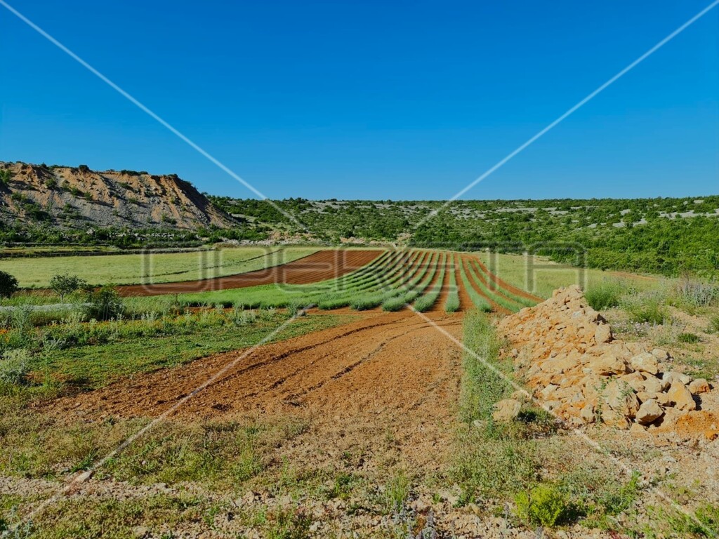 Image 6164860 - 18