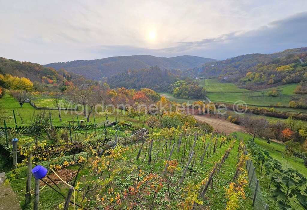 Image 6164861 - 13