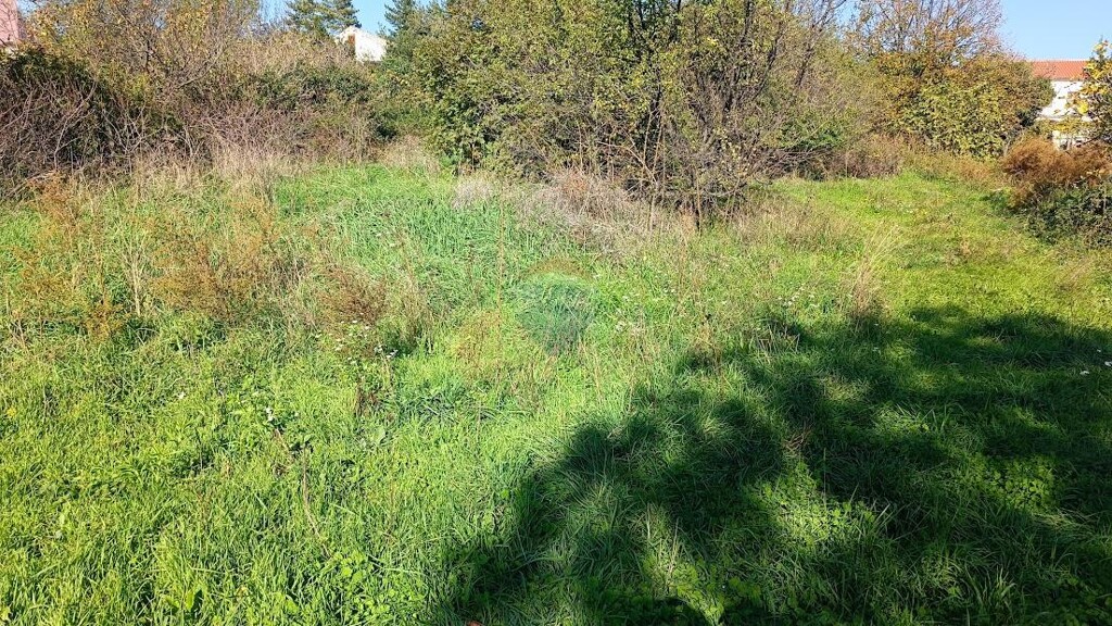 Image 6164958 - 1