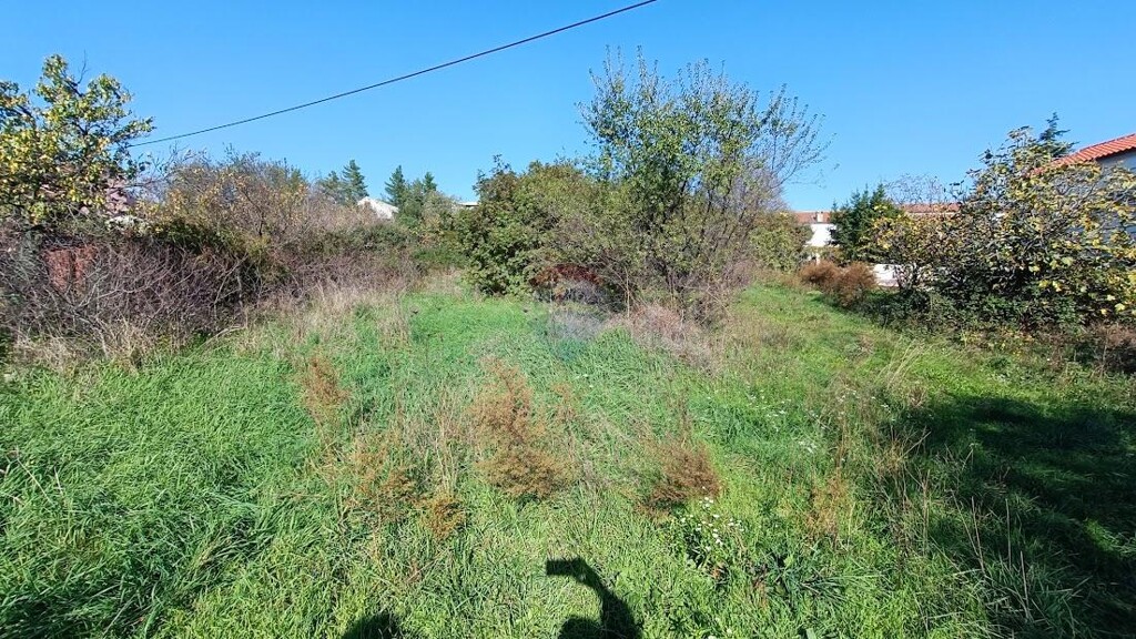 Image 6164958 - 2