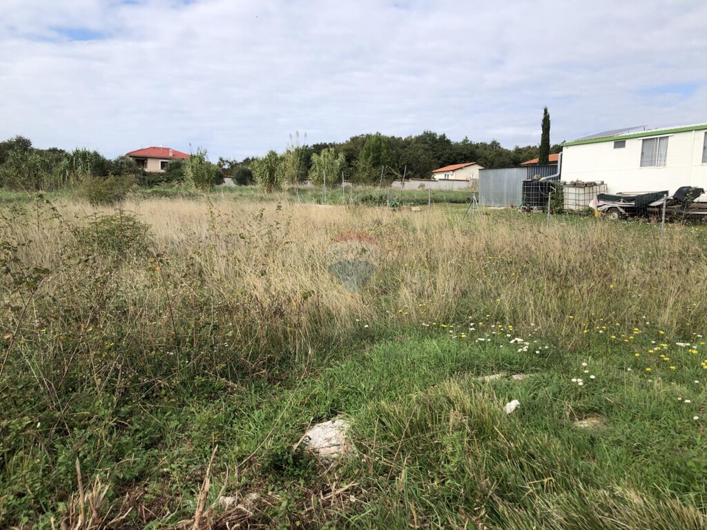 Image 6164970 - 5