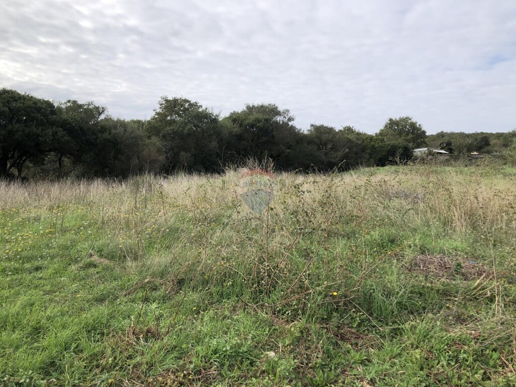 Image 6164971 - 4