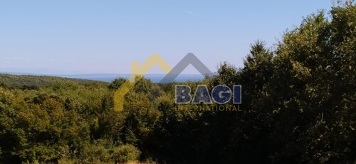 ISTRA - VALTURA komforna kuća sa dva stana