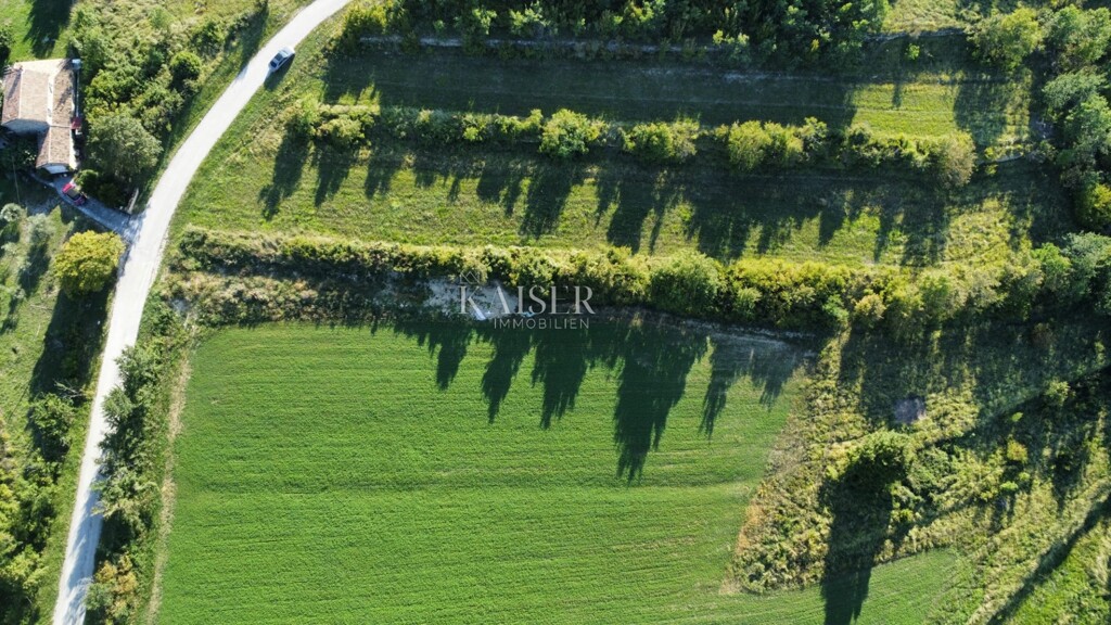 Image 6165716 - 3