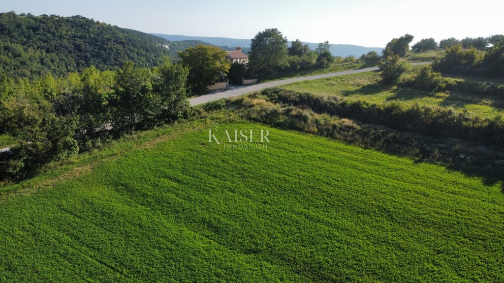 Image 6165717 - 2