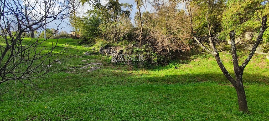 Image 6165723 - 5