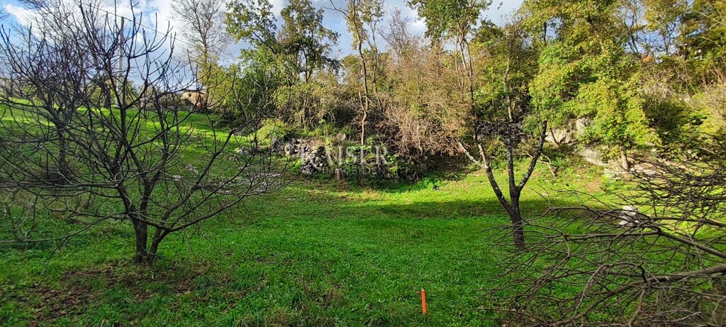 Image 6165723 - 2