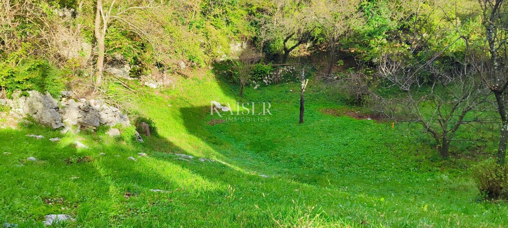 Image 6165723 - 1