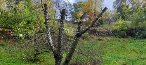 Thumbnail 6165723 - 3