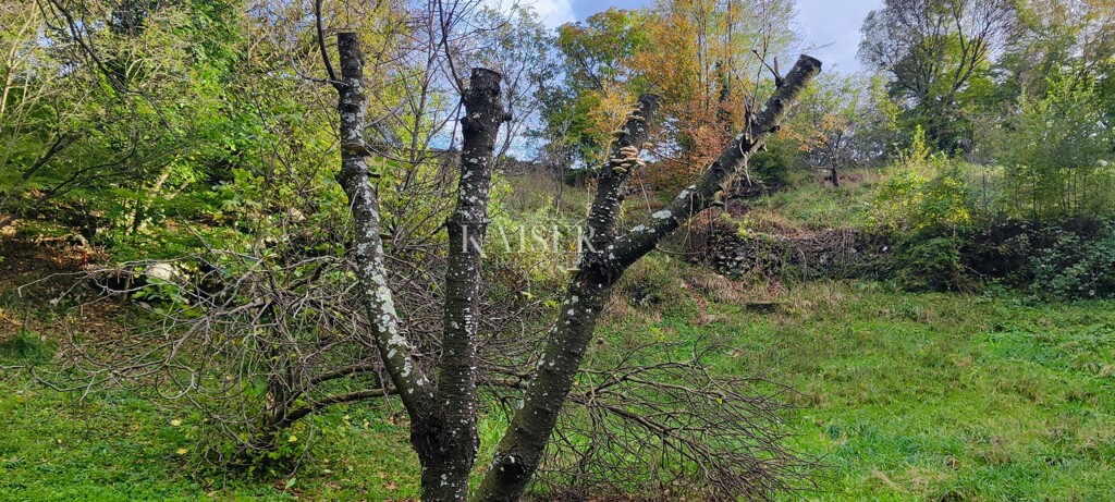 Image 6165723 - 3
