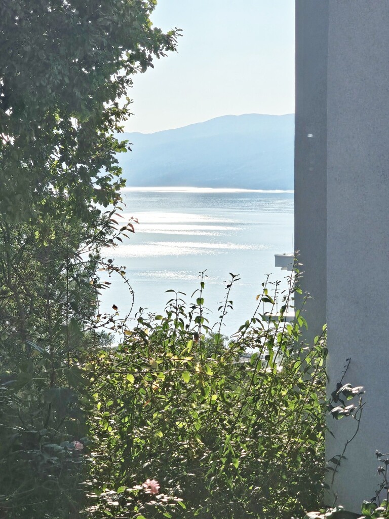 Image 6165748 - 13