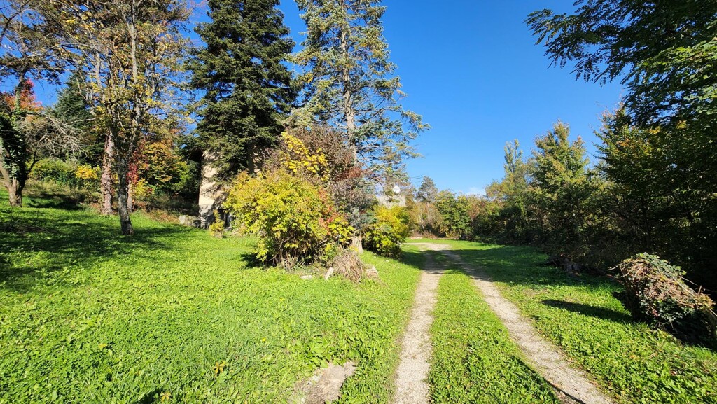 Image 6165764 - 2