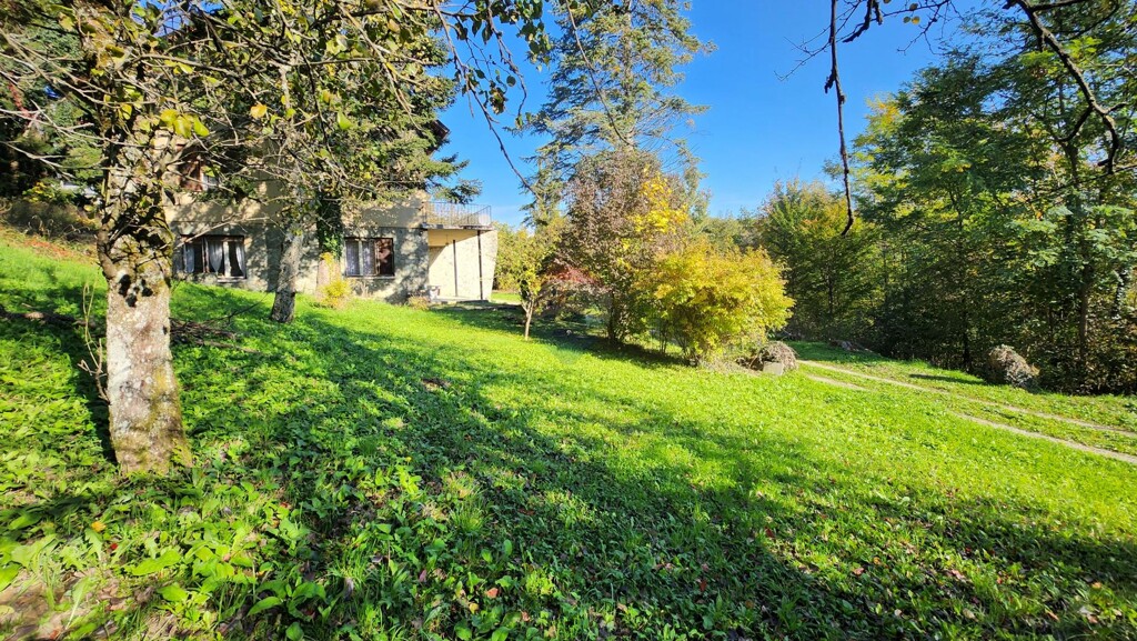 Image 6165764 - 4