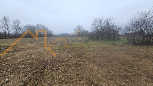 Thumbnail 6165767 - 5