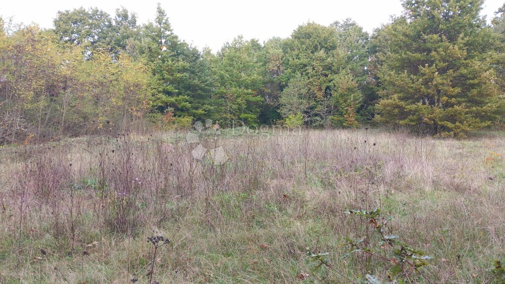 Image 6167074 - 8
