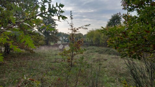 Thumbnail 6167074 - 10