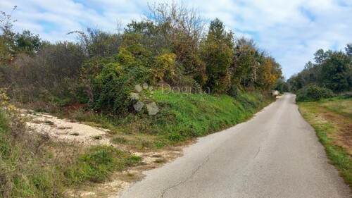 Thumbnail 6167074 - 11