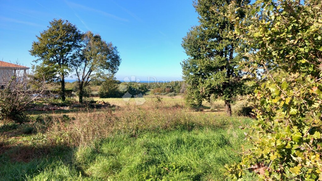 Image 6167075 - 1