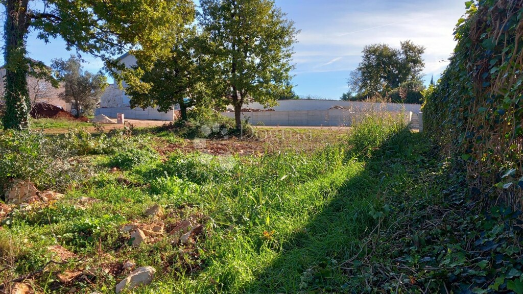 Image 6167075 - 14