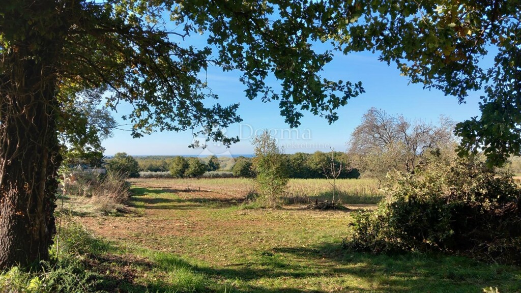 Image 6167075 - 16