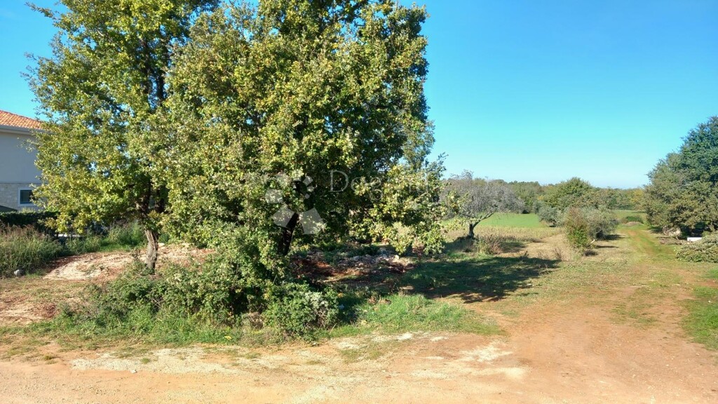 Image 6167075 - 4