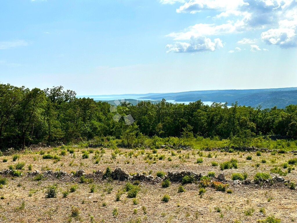 Image 6167077 - 1
