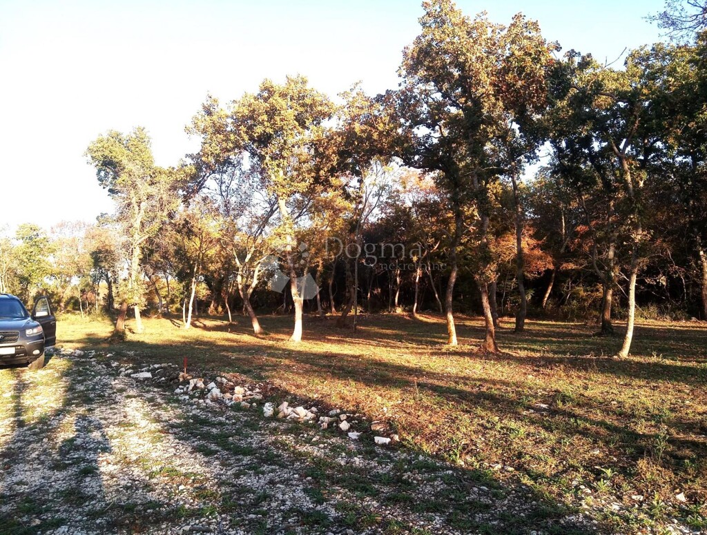 Image 6167087 - 3