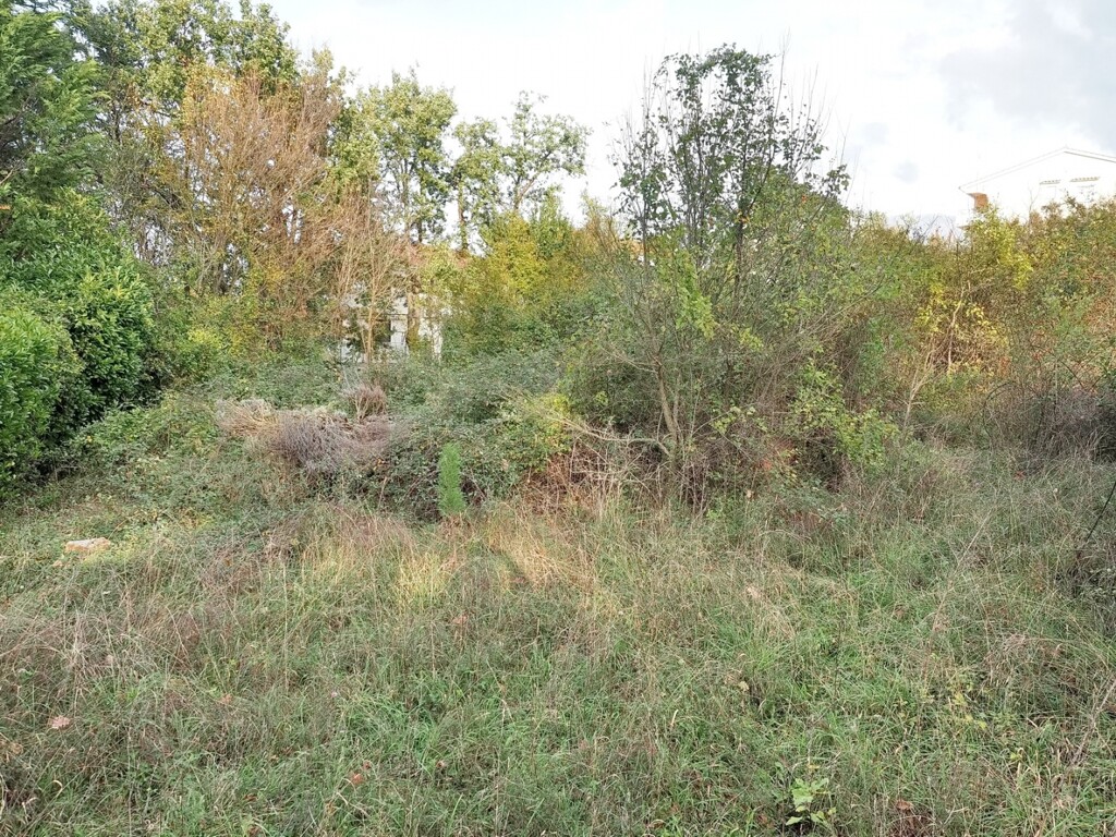 Image 6167170 - 2