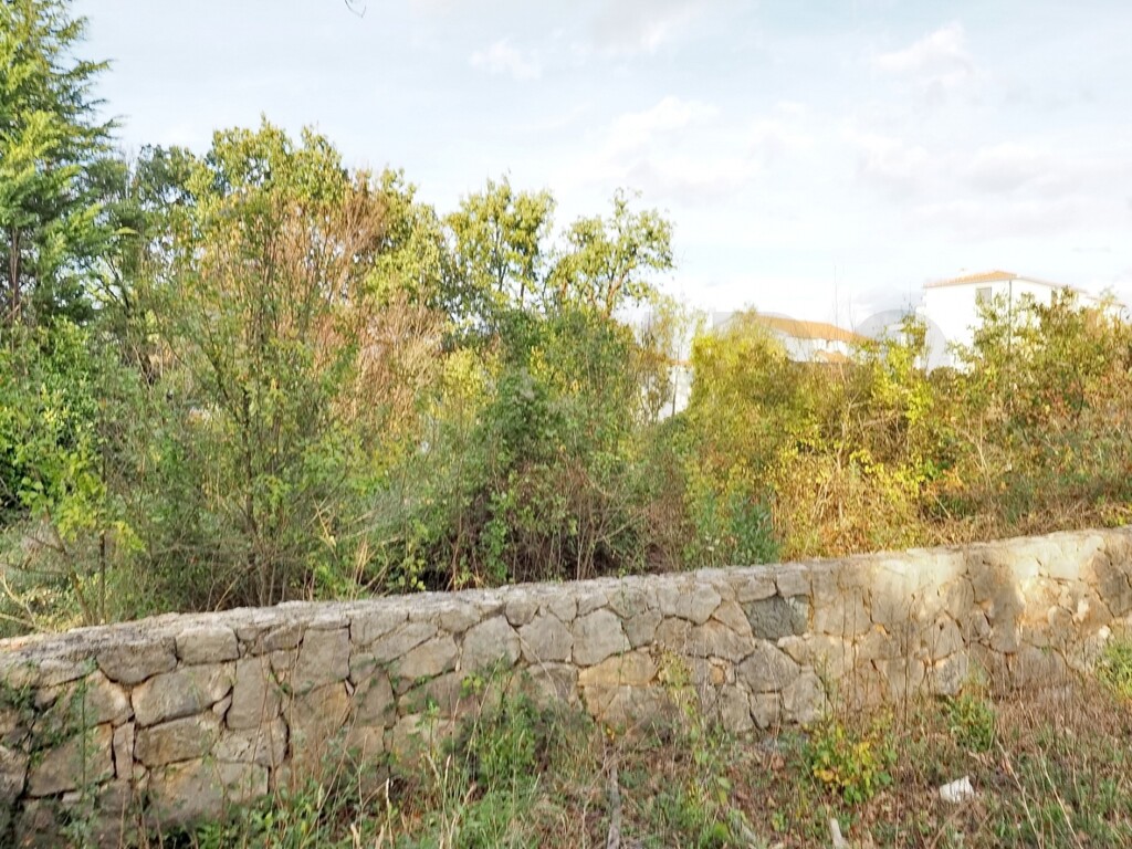 Image 6167170 - 1