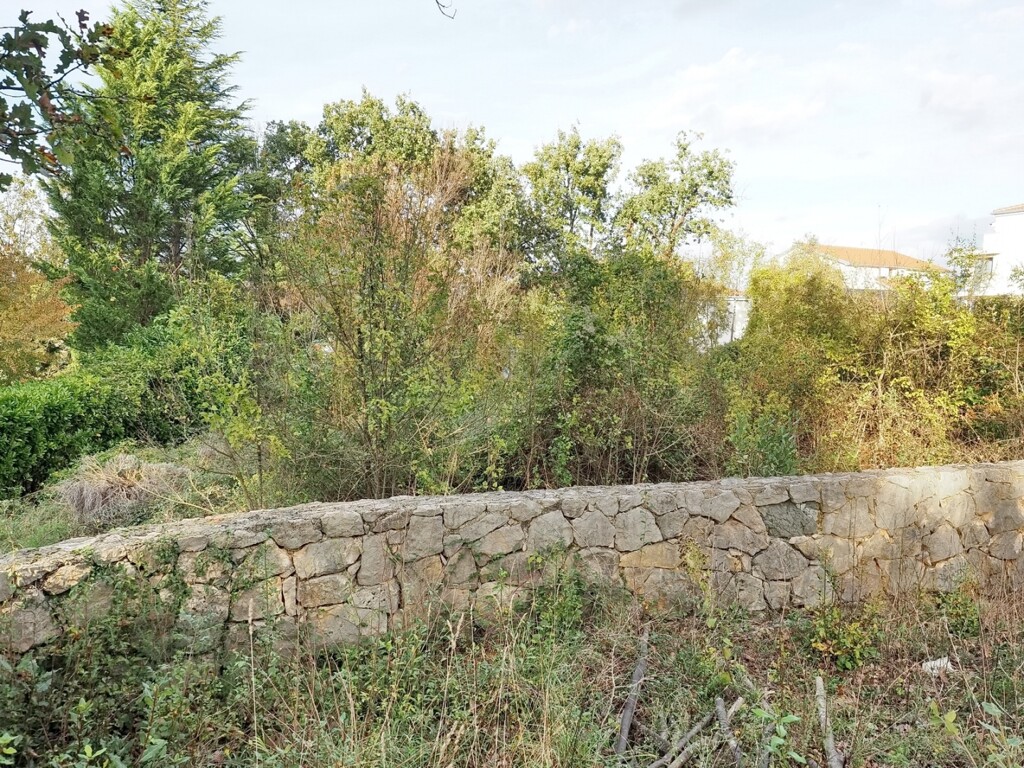Image 6167170 - 3