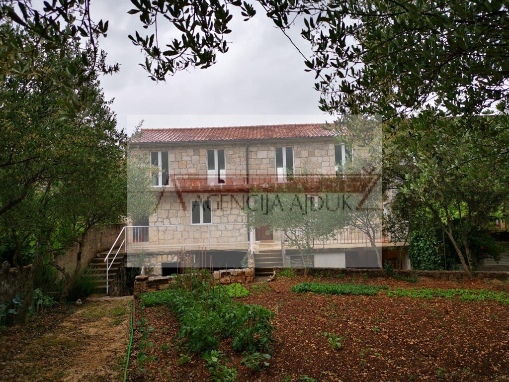 Image 6170369 - 1