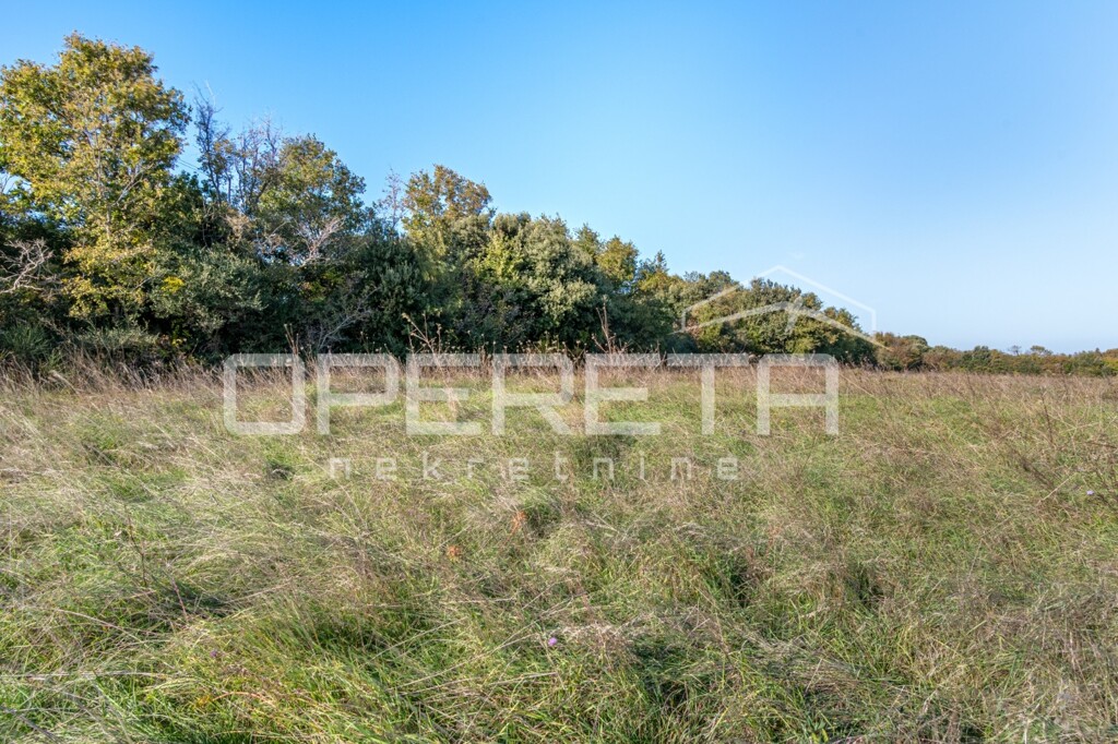 Image 6170401 - 1