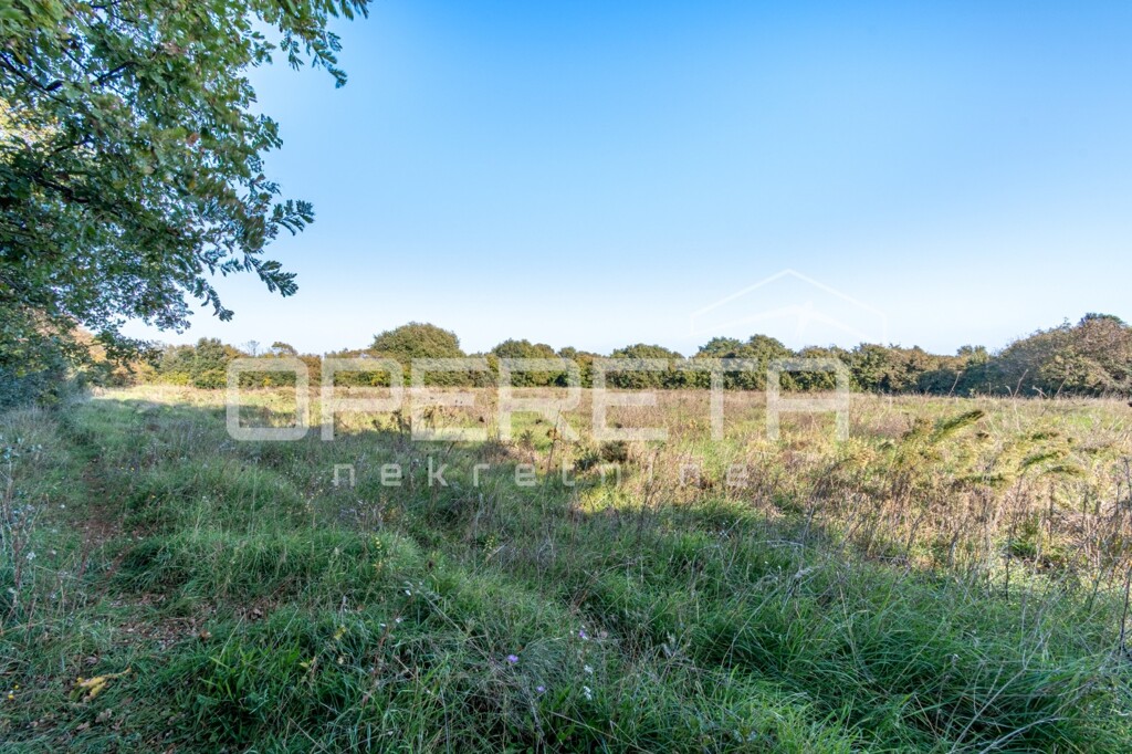 Image 6170401 - 2